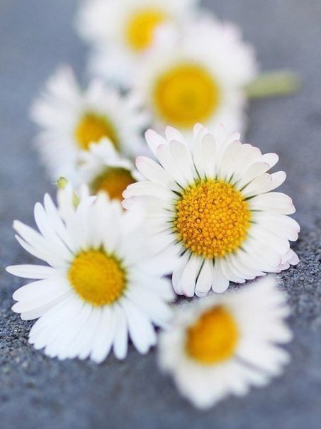 Фото из портфолио Вещи, которые я хочу – фотографии дизайна интерьеров на INMYROOM