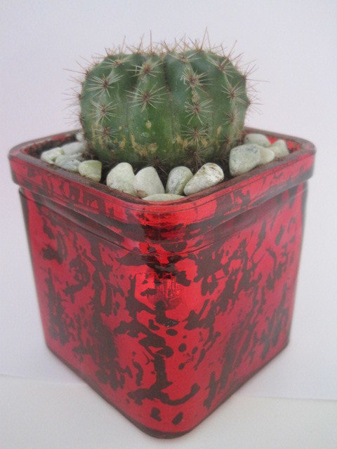 Фото из портфолио Мои фотографии 04.03.2013 – фотографии дизайна интерьеров на INMYROOM