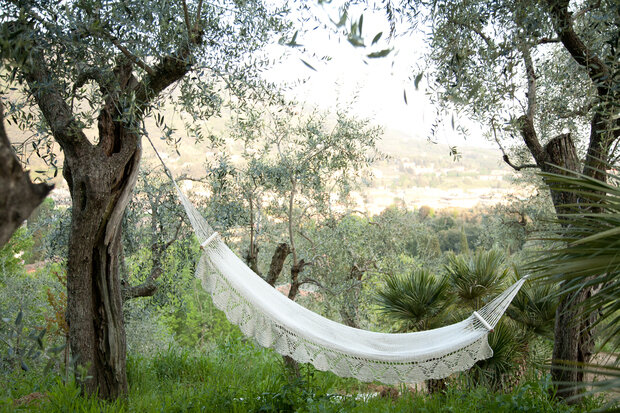 Фотография: Ландшафт в стиле , Вилла, Дом и дача, 4 и больше, Более 90 метров, Тоскана, Ирина Барышникова, Елена Попова – фото на INMYROOM