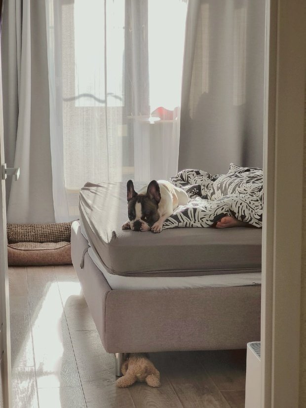 Фотография: Спальня в стиле Скандинавский, Ремонт на практике, Панельный дом – фото на INMYROOM