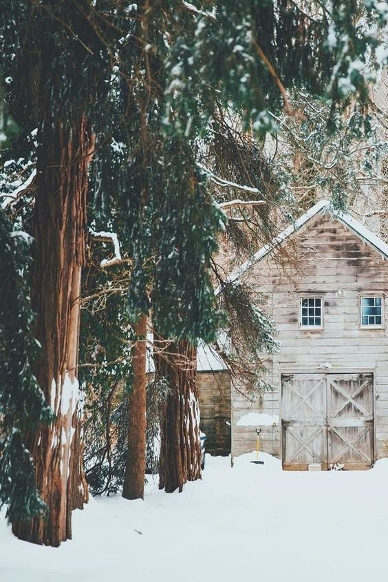 Фотография:  в стиле , Дом, Дача, Гид – фото на INMYROOM