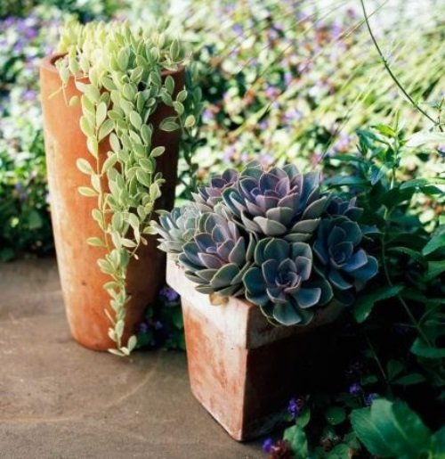 Фотография: Флористика в стиле , Балкон, Интерьер комнат, специальная тема: балконы – фото на INMYROOM Фотография: Флористика в стиле , Балкон, Интерьер комнат, специальная тема: балконы – фото на INMYROOM