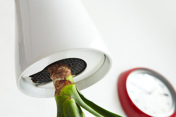 Фотография: Аксессуары в стиле Скандинавский, Современный – фото на INMYROOM