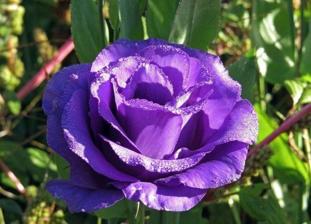 Фото из портфолио Избранные фотографии – фотографии дизайна интерьеров на INMYROOM