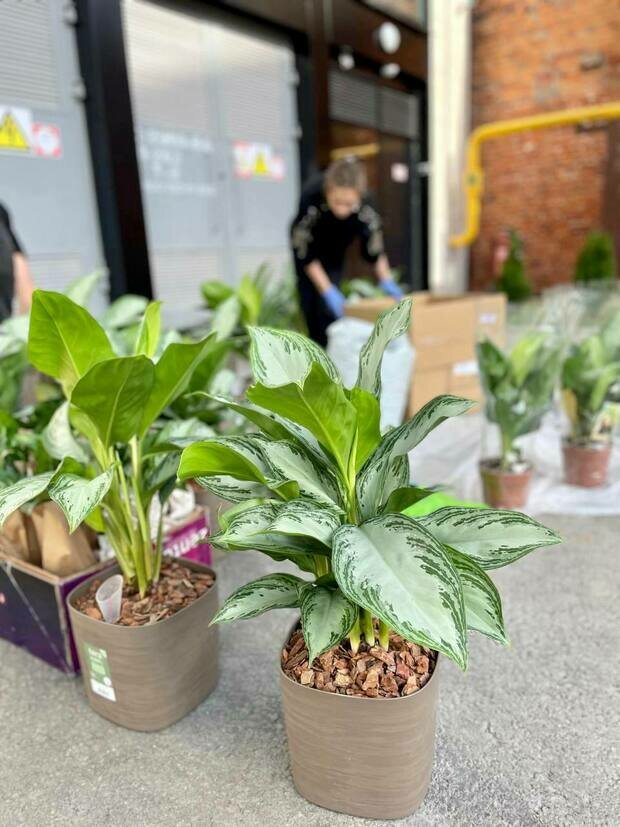 Фото из портфолио Кафе в БЦ М22 г. Санкт-Петербург – фотографии дизайна интерьеров на INMYROOM