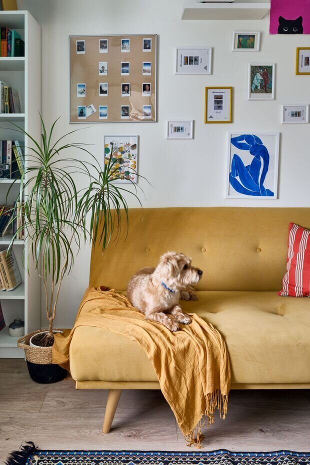 Фотография: Гостиная в стиле Скандинавский, Современный, Малогабаритная квартира, Квартира, Проект дня, Москва, Панельный дом, 1 комната, до 40 метров, Алексей Смирнов, Мария Оганесян – фото на INMYROOM