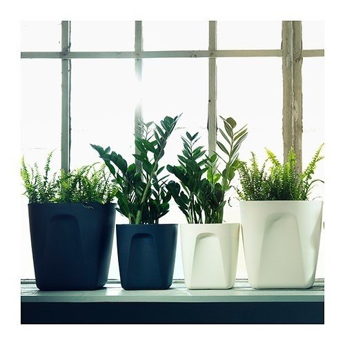 Фотография: Флористика в стиле , Декор интерьера, Дом, Мебель и свет, Декор дома, Советы, Посуда – фото на INMYROOM