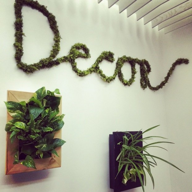 Фото из портфолио Витражи и стены из стабилизированного мха – фотографии дизайна интерьеров на INMYROOM