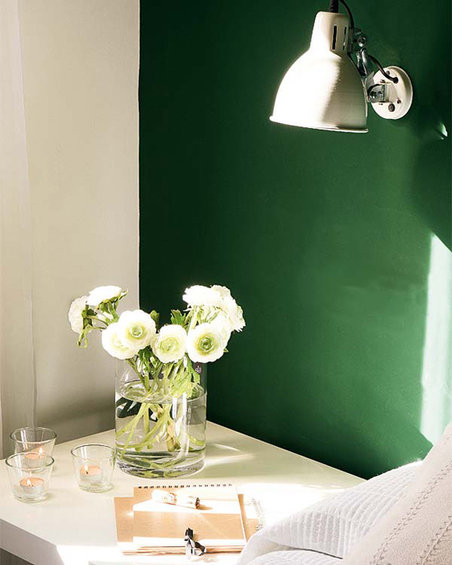 Фотография: Флористика в стиле , Малогабаритная квартира, Квартира, Цвет в интерьере, Дома и квартиры, Зеленый – фото на INMYROOM