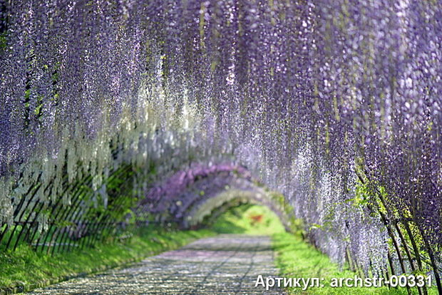 Фото из портфолио Арки, Улицы, Терасы – фотографии дизайна интерьеров на INMYROOM