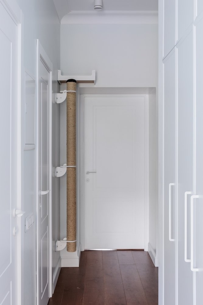 Фотография: Прихожая в стиле Современный, Эклектика, Квартира, Проект недели, Москва, 3 комнаты, 60-90 метров, Валерия Шиманская – фото на INMYROOM Фотография: Прихожая в стиле Современный, Эклектика, Квартира, Проект недели, Москва, 3 комнаты, 60-90 метров, Валерия Шиманская – фото на INMYROOM