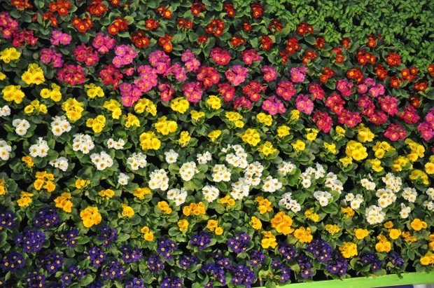 Фото из портфолио моя работа – фотографии дизайна интерьеров на INMYROOM