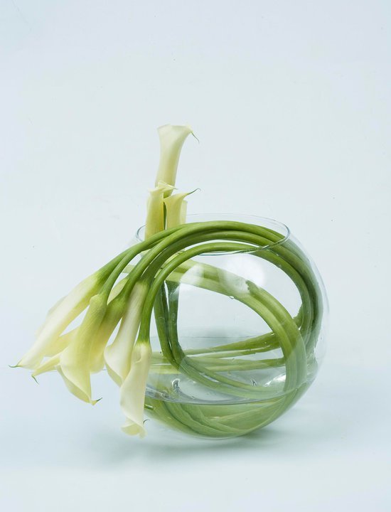 Фото из портфолио Мои фотографии 24.02.2013 – фотографии дизайна интерьеров на INMYROOM