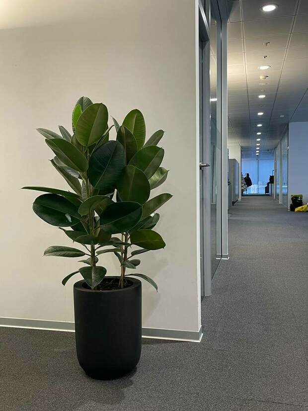 Фото из портфолио Офис Технодинамика г.Москва – фотографии дизайна интерьеров на INMYROOM