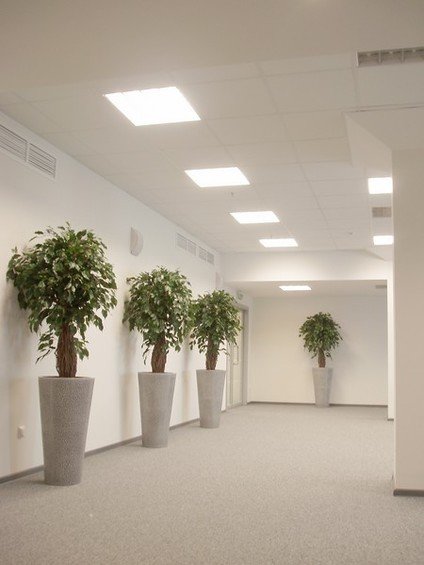 Фотография: Офис в стиле Современный, Декор интерьера, Офисное пространство, Ландшафт, Стиль жизни – фото на INMYROOM