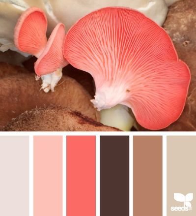 Фото из портфолио Сочетание цветов – фотографии дизайна интерьеров на InMyRoom.ru