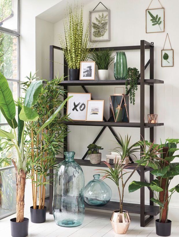 Фотография: Флористика в стиле , Декор интерьера, Зеленый, растения в горшках в интерьере, комнатные растения для ванной комнаты – фото на INMYROOM