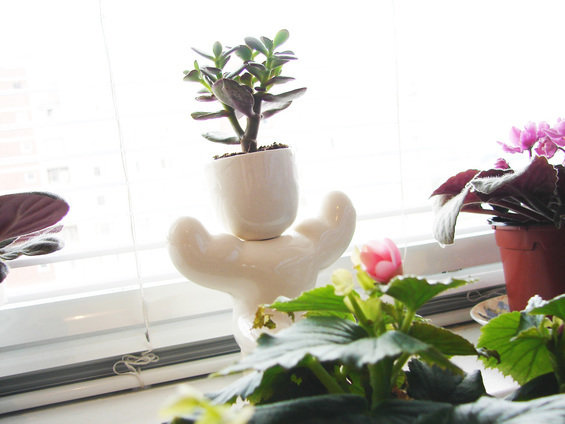 Фотография: Аксессуары в стиле Современный – фото на INMYROOM