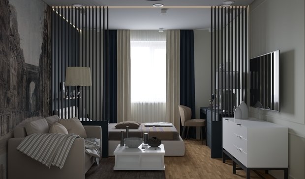 Фото из портфолио Спальня-гостиная – фотографии дизайна интерьеров на INMYROOM