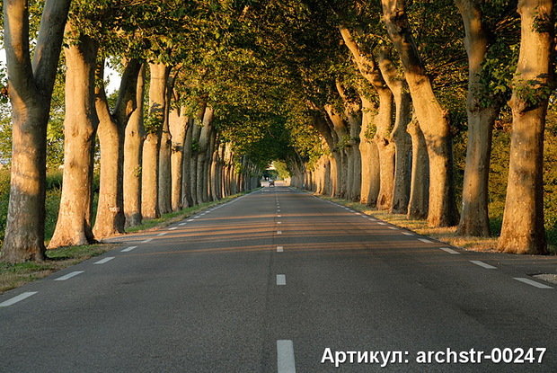 Фото из портфолио Арки, Улицы, Терасы – фотографии дизайна интерьеров на InMyRoom.ru