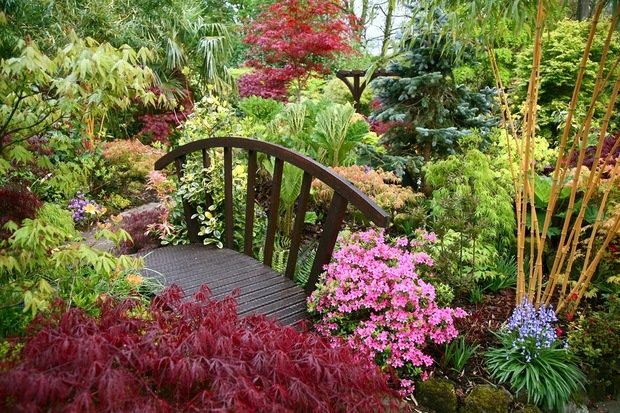 Фотография: Ландшафт в стиле  – фото на INMYROOM