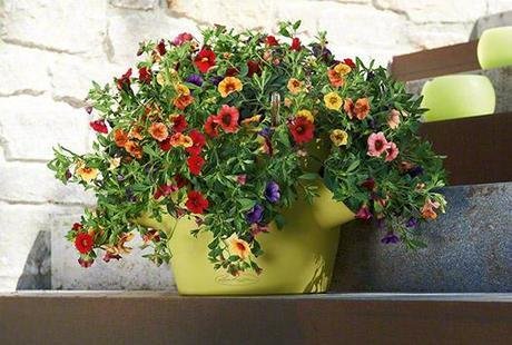 Цветочные горшки с автополивом LECHUZA CASCADINO Color
