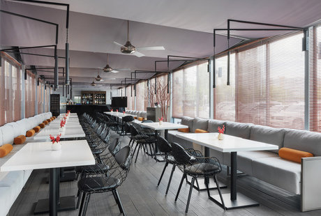 Нота шафрана