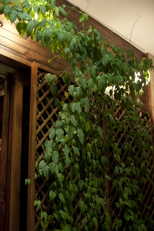 Фото из портфолио 5 – фотографии дизайна интерьеров на INMYROOM