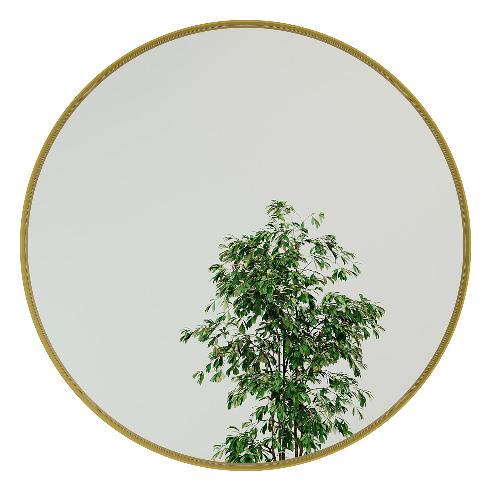 Настенное зеркало Rauntel L в раме золотого цвета