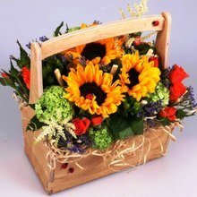 Фото из портфолио цветы – фотографии дизайна интерьеров на INMYROOM