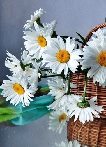 Фото из портфолио Вещи, которые я хочу – фотографии дизайна интерьеров на INMYROOM