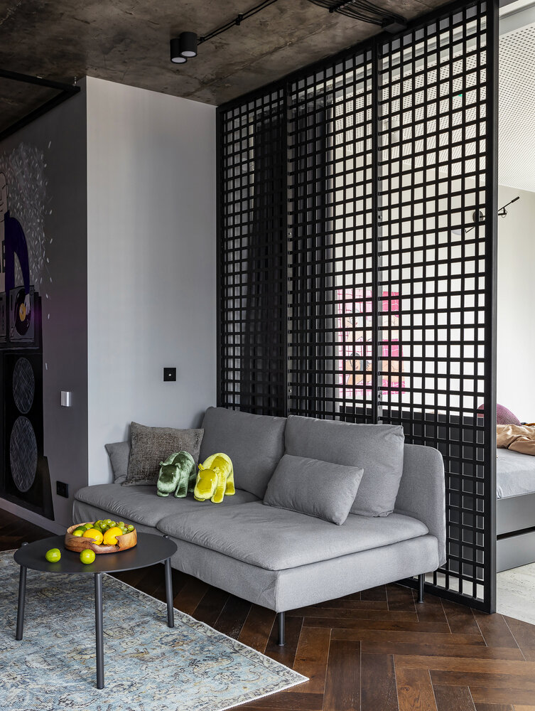 Фотография: Гостиная в стиле Современный, Квартира, Проект дня, Минск, 1 комната, 40-60 метров, Галина Лисицкая – фото на INMYROOM