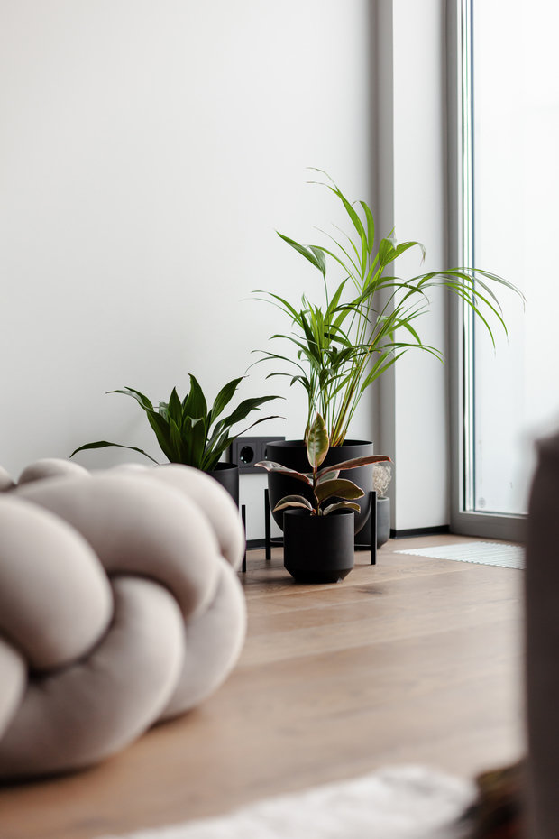 Фотография: Гостиная в стиле Минимализм, Современный, Квартира, Проект недели, Москва, 3 комнаты, Более 90 метров, num.21, Анастасия Клименко – фото на INMYROOM