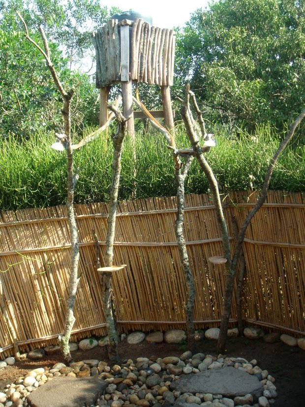 Фотография: Ландшафт в стиле Прованс и Кантри, Современный, Ванная, Дом, Стиль жизни, Дача – фото на INMYROOM