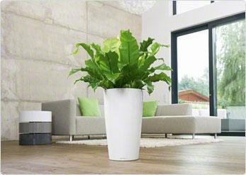 Фото из портфолио Кашпо для растений LECHUZA (Лечуза) RONDO (Рондо) – фотографии дизайна интерьеров на INMYROOM