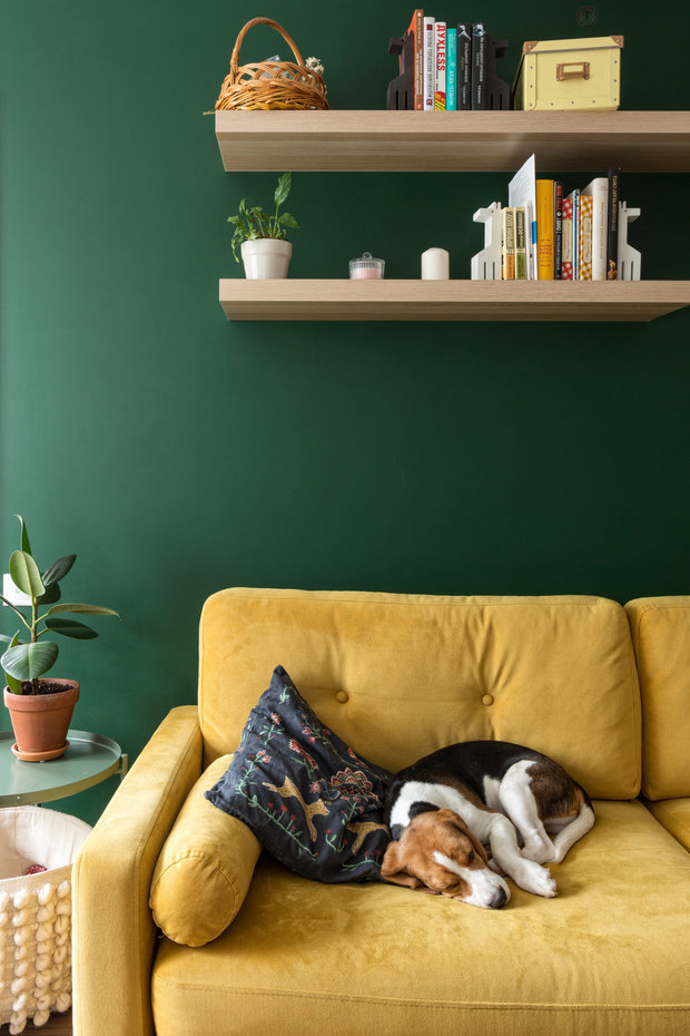 Фотография: Гостиная в стиле Скандинавский, Гид, животные дома – фото на INMYROOM