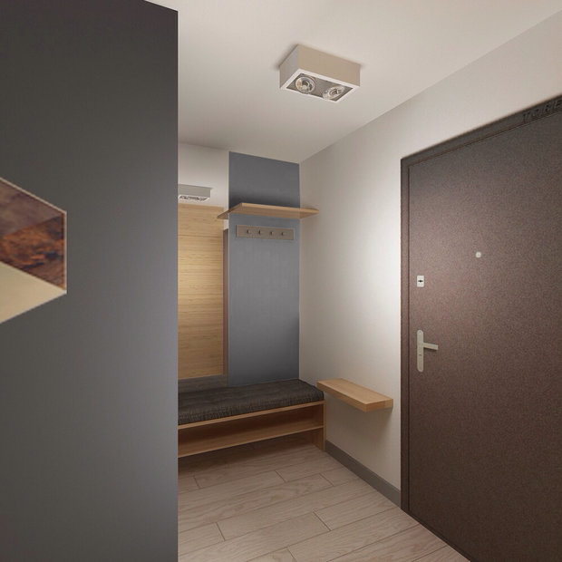 Фотография: Прихожая в стиле Современный, Минимализм, Квартира, Проект недели – фото на INMYROOM