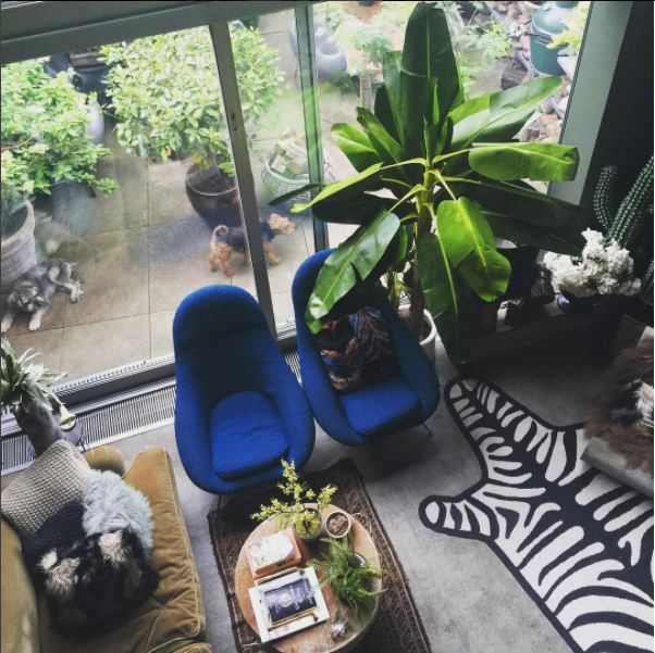 Фотография: Гостиная в стиле Эко, Интервью, Правила дизайна, Абигейл Ахерн – фото на INMYROOM Фотография: Гостиная в стиле Эко, Интервью, Правила дизайна, Абигейл Ахерн – фото на INMYROOM