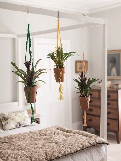 Фотография: Спальня в стиле Прованс и Кантри, Малогабаритная квартира, Квартира, Флористика, Стиль жизни, Зимний сад – фото на INMYROOM Фотография: Спальня в стиле Прованс и Кантри, Малогабаритная квартира, Квартира, Флористика, Стиль жизни, Зимний сад – фото на INMYROOM