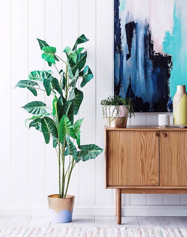 Фотография: Декор в стиле Скандинавский, Советы, Краска – фото на INMYROOM