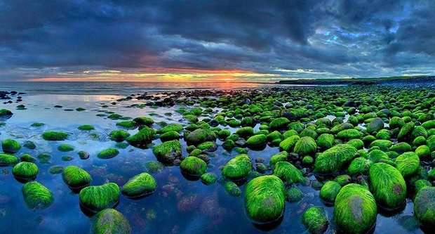 Фото из портфолио Что меня вдохновляет – фотографии дизайна интерьеров на INMYROOM