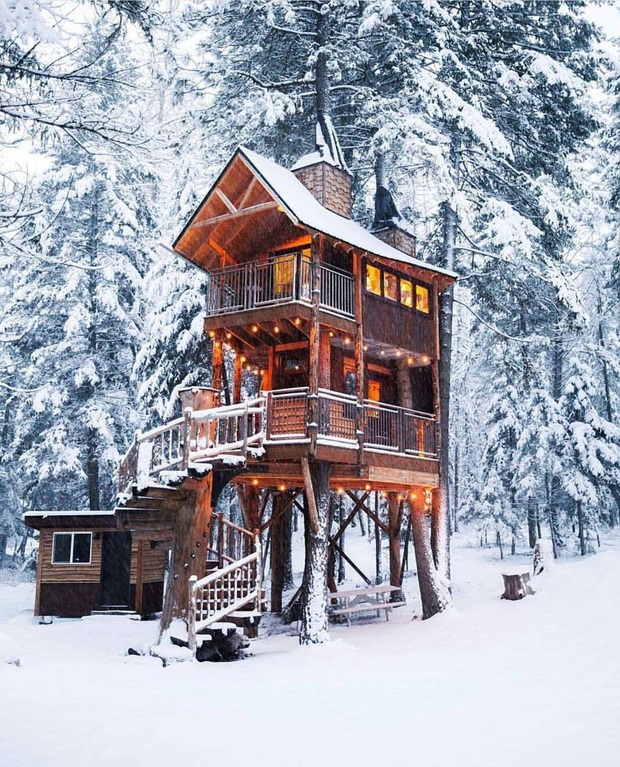 Фотография:  в стиле , Гид, Дом и дача, домик на дереве – фото на INMYROOM