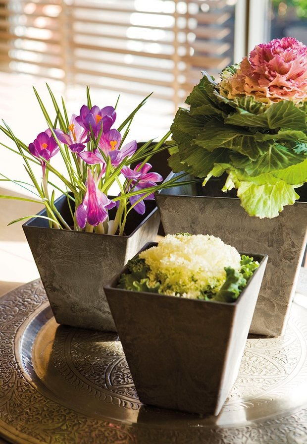 Фотография: Флористика в стиле , Гостиная, Декор интерьера, Испания, Интерьер комнат, Проект недели – фото на INMYROOM