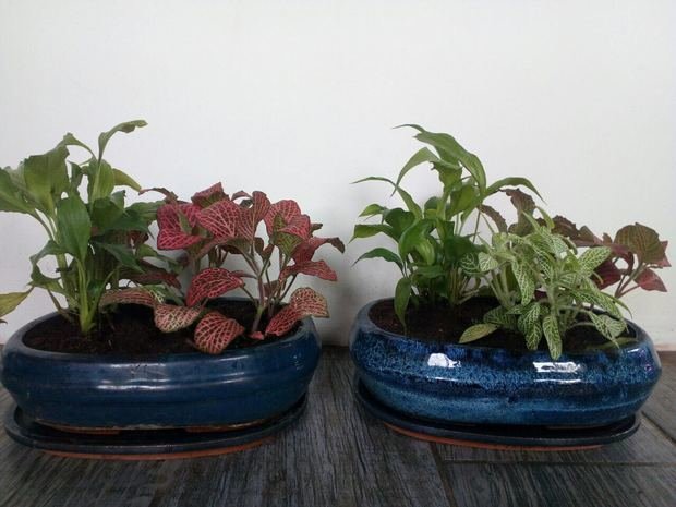 Фото из портфолио Композиции из растений – фотографии дизайна интерьеров на INMYROOM