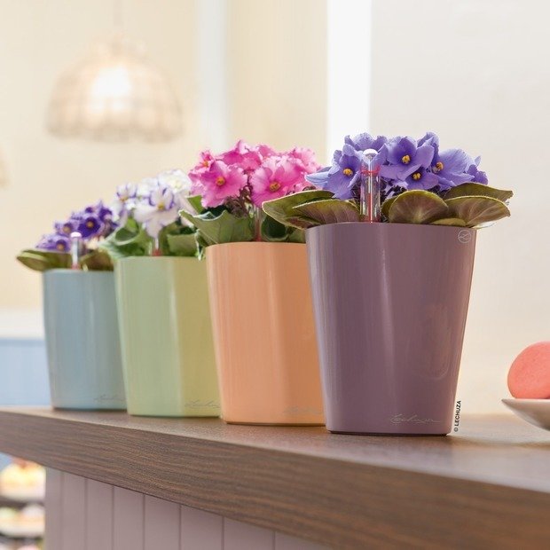 Фото из портфолио Кашпо с автополивом DELTINI и MINI-DELTINI – фотографии дизайна интерьеров на INMYROOM