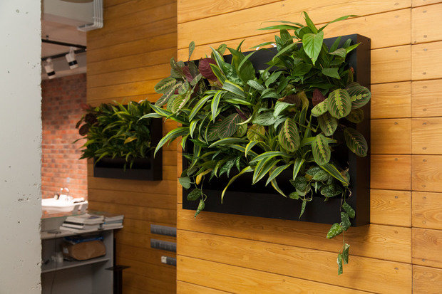 Фото из портфолио Проект г. Саратов – фотографии дизайна интерьеров на INMYROOM