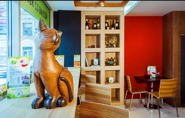 Фото из портфолио Эко-Кафе "UNIQUE Organic Bar" – фотографии дизайна интерьеров на INMYROOM