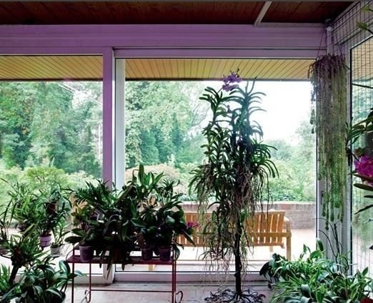 Фотография: Флористика в стиле , Дома и квартиры, Интерьеры звезд, Принт, Missoni – фото на INMYROOM