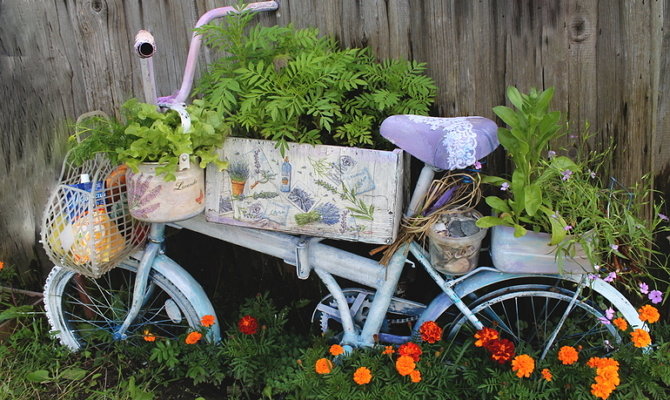 Фотография: Кухня и столовая в стиле Современный, Ландшафт, Советы, Дом и дача, Fiskars – фото на INMYROOM Фотография: Кухня и столовая в стиле Современный, Ландшафт, Советы, Дом и дача, Fiskars – фото на INMYROOM