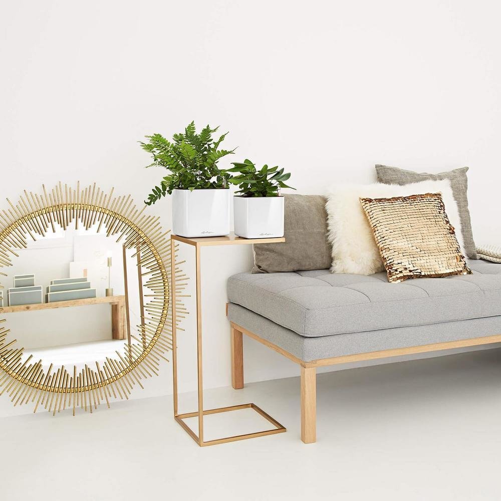 Фото из портфолио Цветочные кашпо Lechuza CUBE GLOSSY – фотографии дизайна интерьеров на INMYROOM